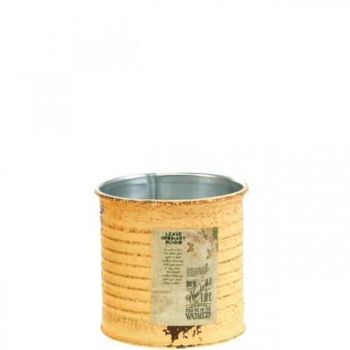 Decorative box summer apricot metal box plant pot Ø8cm H7.5cm