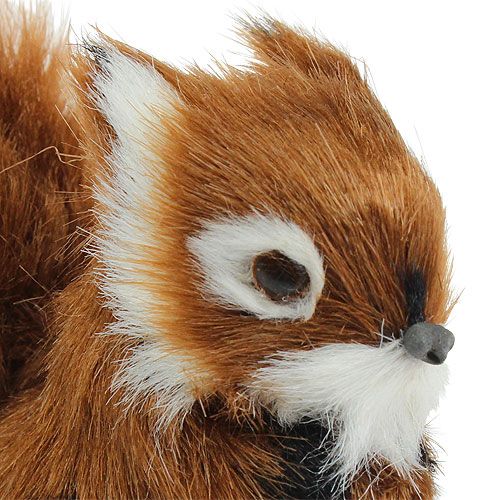 Floristik24 Deco Squirrel Brown 8,5cm