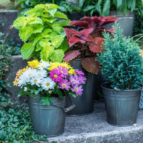 Floristik24 Decorative bucket with handle, garden decoration, plant pot, metal container Ø16.5 cm H15 cm