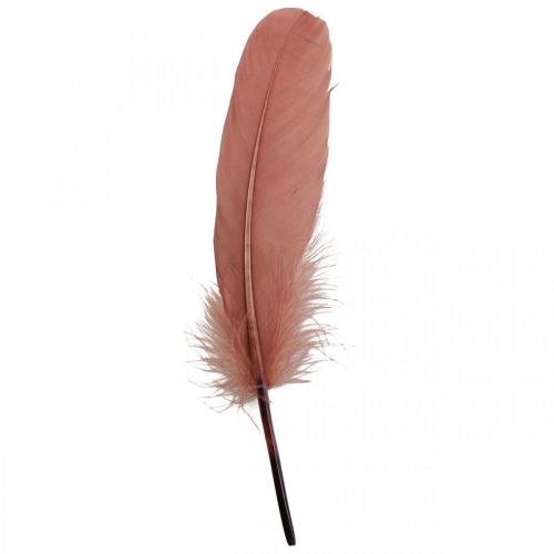 Product Decorative feathers for handicrafts Dusky pink real bird feathers 20g
