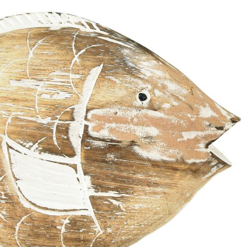 Floristik24 Decorative fish wooden stand on root maritime decoration 27cm