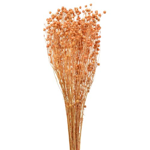 Deco Flax Dried Dried Flowers Apricot Natural 80g