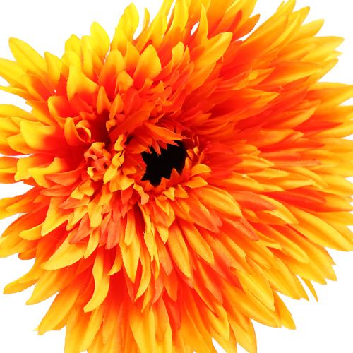 Floristik24 Deco Gerbera Orange Ø15cm L88cm