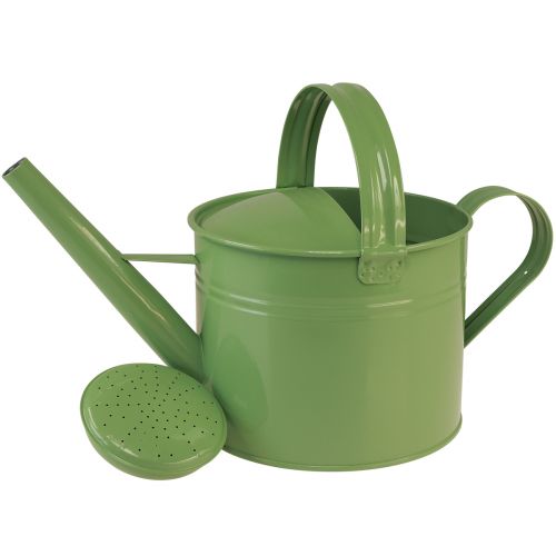 Product Decorative watering can for planting metal mint H26cm 5L