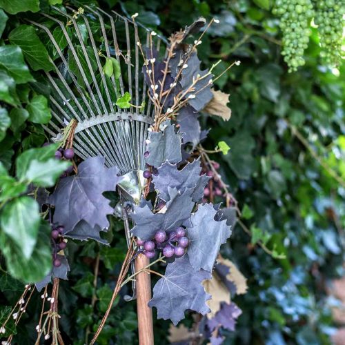Floristik24 Decorative garland vine leaves and grapes autumn garland 180cm