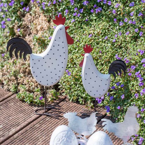 Floristik24 Decorative rooster wood dotted white decorative figure Easter H30cm