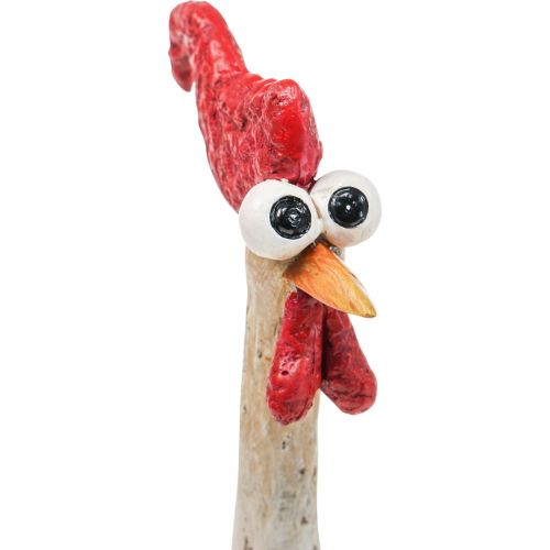 Floristik24 Decoration Chickens Decoration Figure Easter Decoration Chicken Funny H26cm