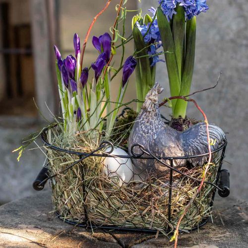 Floristik24 Deco chickens decorative figure garden figure chicken vintage H17cm 2pcs