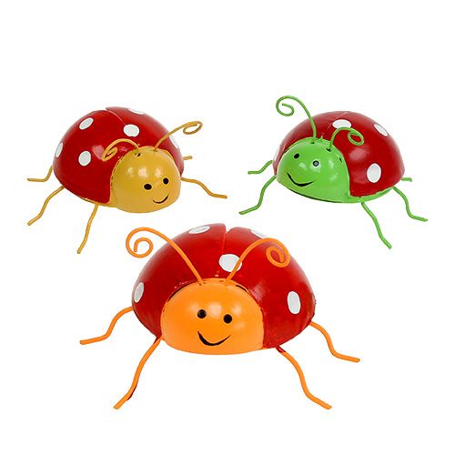 Floristik24 Deko Beetle assorted 8cm 3pcs