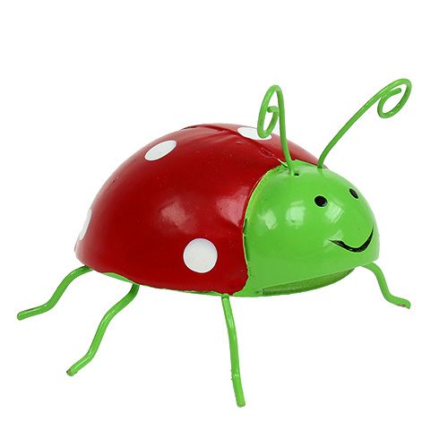 Floristik24 Deko Beetle assorted 8cm 3pcs