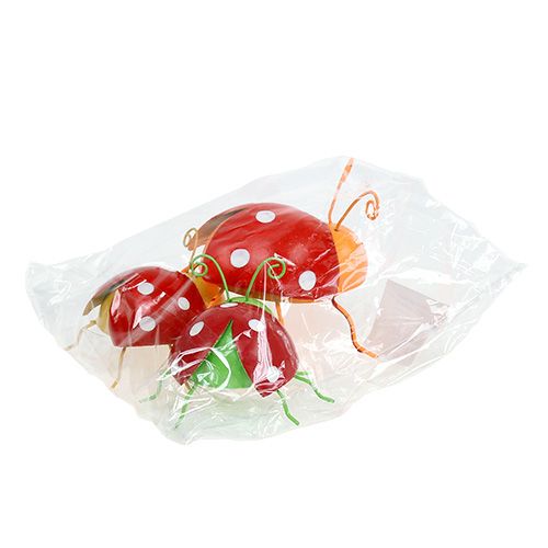 Floristik24 Deko Beetle assorted 8cm 3pcs