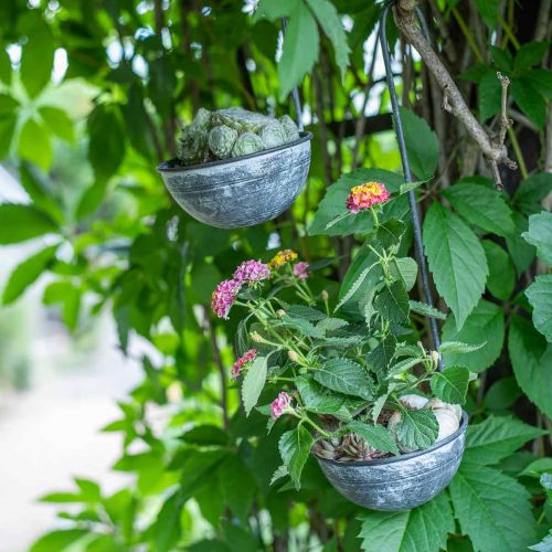 Floristik24 Decorative trowel metal, decorative bowl for hanging Gray Ø13cm