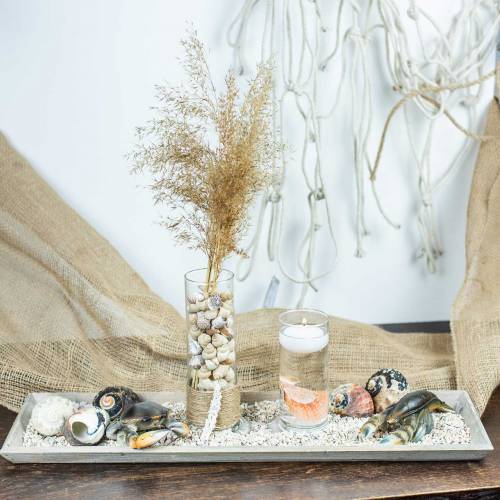 Floristik24 Decorative crab and lobster 11cm - 15cm