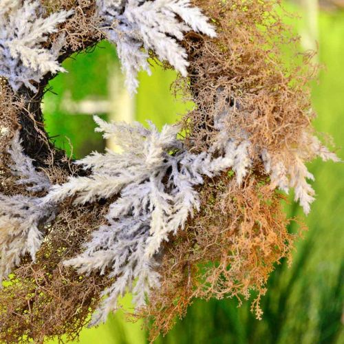 Product Deco wreath artificial pampas grass cream, brown door wreath Ø60cm