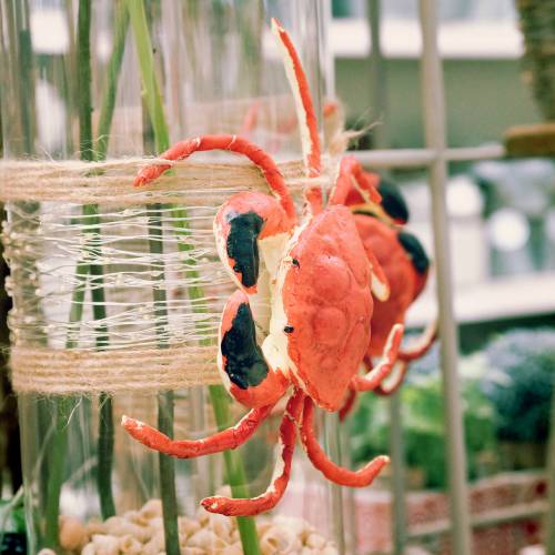 Floristik24 Deco Cancer Red 25cm