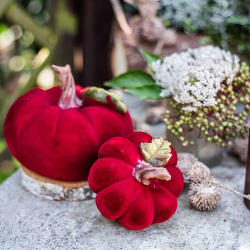 Floristik24 Deco pumpkin red table decoration autumn polyresin 10.5×9cm 2pcs