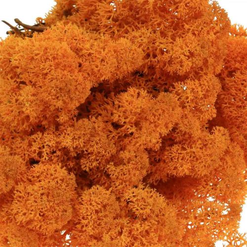 Product Decorative Moss Orange Real Moss for Crafting Dried, Colored 500g