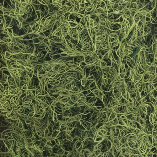 Product Decorative moss dried forest moss green natural decoration 300g