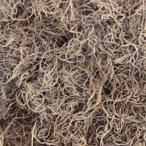 Product Decorative moss dried forest moss natural brown natural decoration 300g
