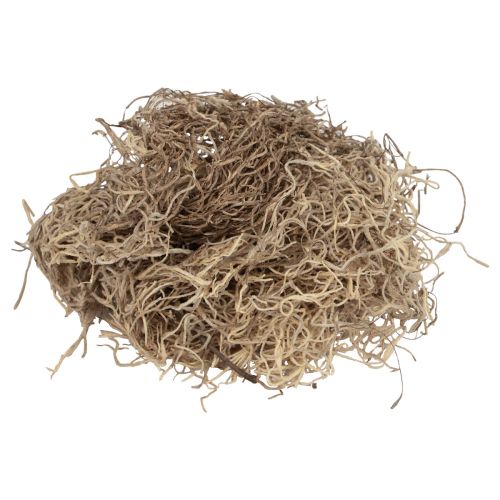 Decorative moss dried forest moss natural brown natural decoration 300g