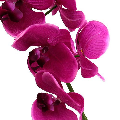 Floristik24 Deco Orchid Pink L77cm