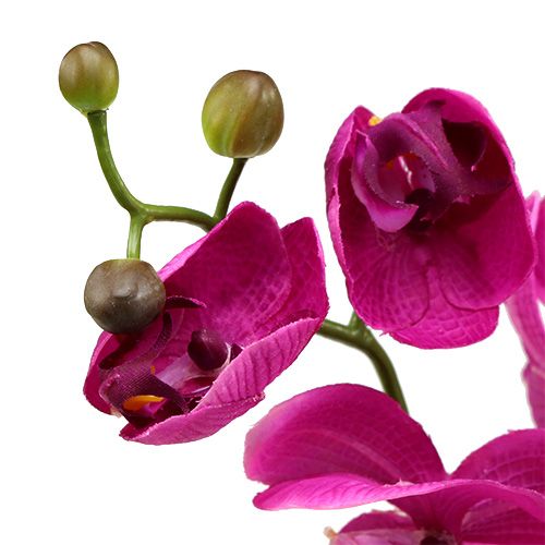 Floristik24 Deco Orchid Pink L77cm