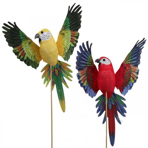 Floristik24 Flower plug bird, deco parrot red yellow 28×19cm 2pcs