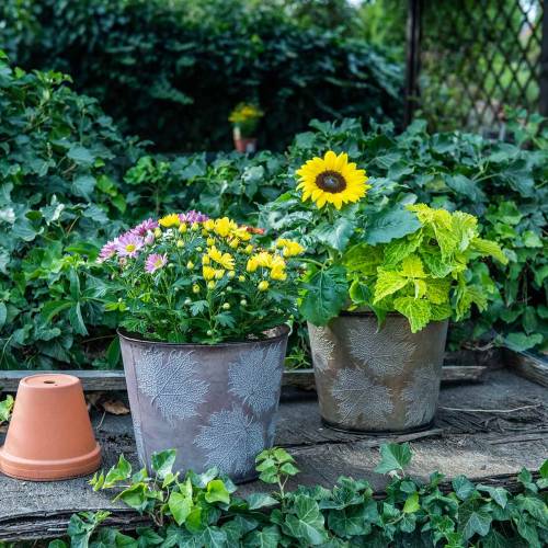 Floristik24 Decorative plant pot with leaves zinc metallic gray, orange, brown Ø26cmH22cm 3pcs