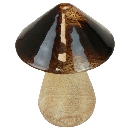 Product Decorative mushroom wooden mushroom natural brown gloss effect Ø7.5cm H10cm