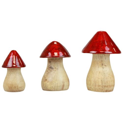 Product Decorative mushrooms wooden mushrooms red gloss autumn decoration H6/8/10cm set of 3