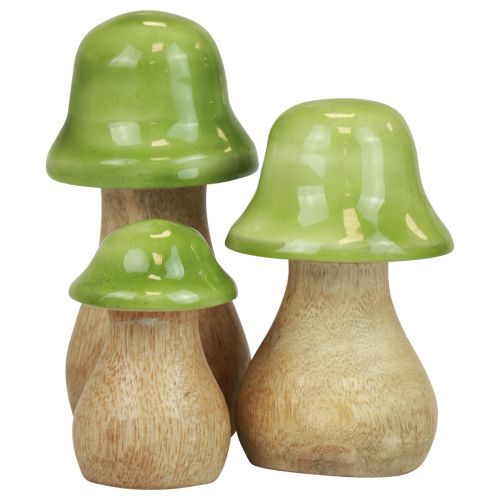 Product Decorative mushrooms wood wooden mushrooms light green glossy H6/8/10cm set of 3