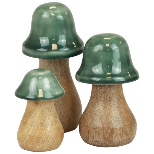 Product Decorative mushrooms wooden mushrooms dark green glossy H6/8/10cm set of 3