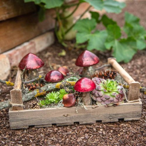 Floristik24 Deco mushrooms glass red autumn decoration table decoration Ø6.5cm H10cm 3pcs