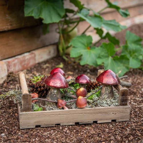 Floristik24 Deco mushrooms glass red vintage autumn decoration Ø9cm H13.5cm 2pcs