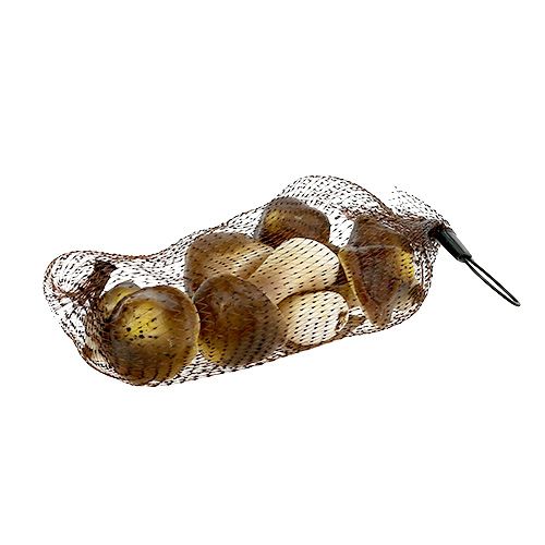 Floristik24 Decorative mushrooms in a net 5-8cm assort. brown 8pcs