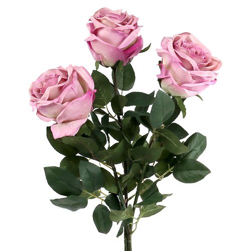 Floristik24 Deco rose filled old rose Ø10cm L65cm 3pcs