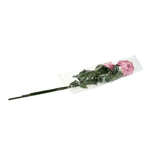 Floristik24 Deco rose filled old rose Ø10cm L65cm 3pcs