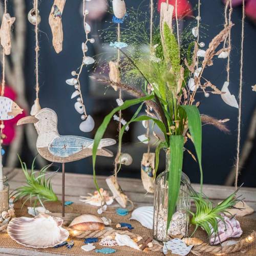 Floristik24 Deco tillandsie green 16cm 4pcs