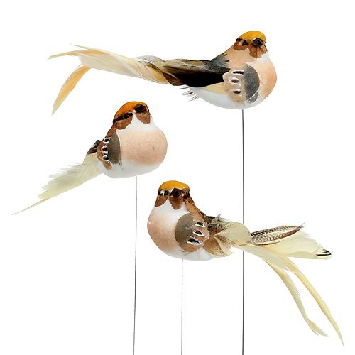 Floristik24 Deco bird on wire Brown 15cm 9pcs