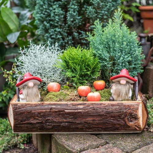 Floristik24 Deco elf ceramic mushroom hat table decoration red, white H10.5cm 3pcs