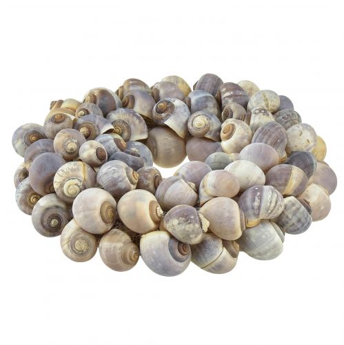 Product Decoration maritime snail wreath for hanging sea snails Ø25cm