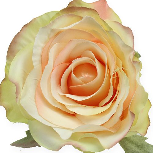 Floristik24 Artificial rose heads Ø9cm 6pcs