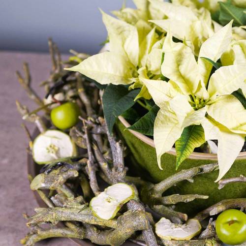 Product Deco branch curry bush green washed 500g