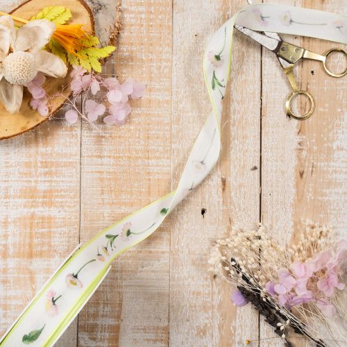 Gift ribbon with a Bellis floral pattern for crafting and packaging, 25mm x 20m | Floristik24.co.uk