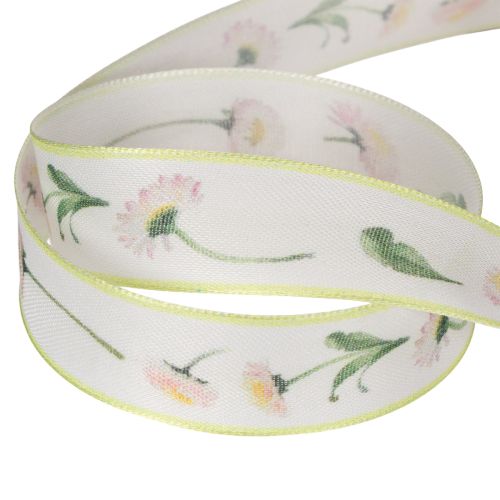 Gift ribbon with a Bellis
