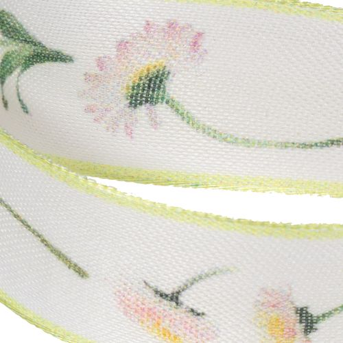 Gift ribbon with a Bellis