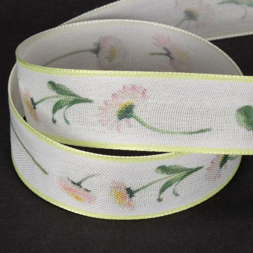 Gift ribbon with a Bellis