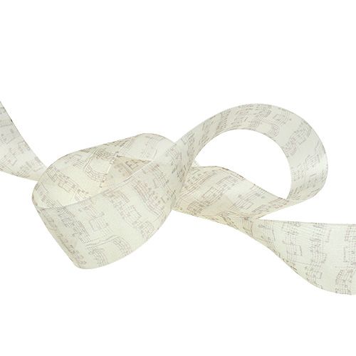 Floristik24 Deco ribbon notes pattern 40mm 20m