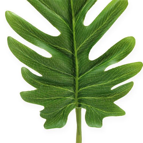 Floristik24 Deco sheets Philodendron Green B11cm L34cm 6pcs