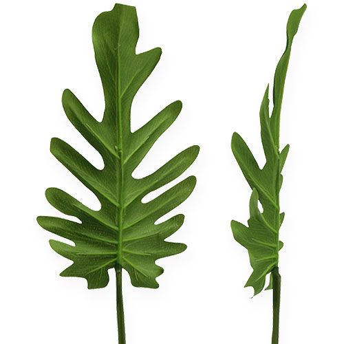 Floristik24 Deco sheets Philodendron Green B11cm L34cm 6pcs